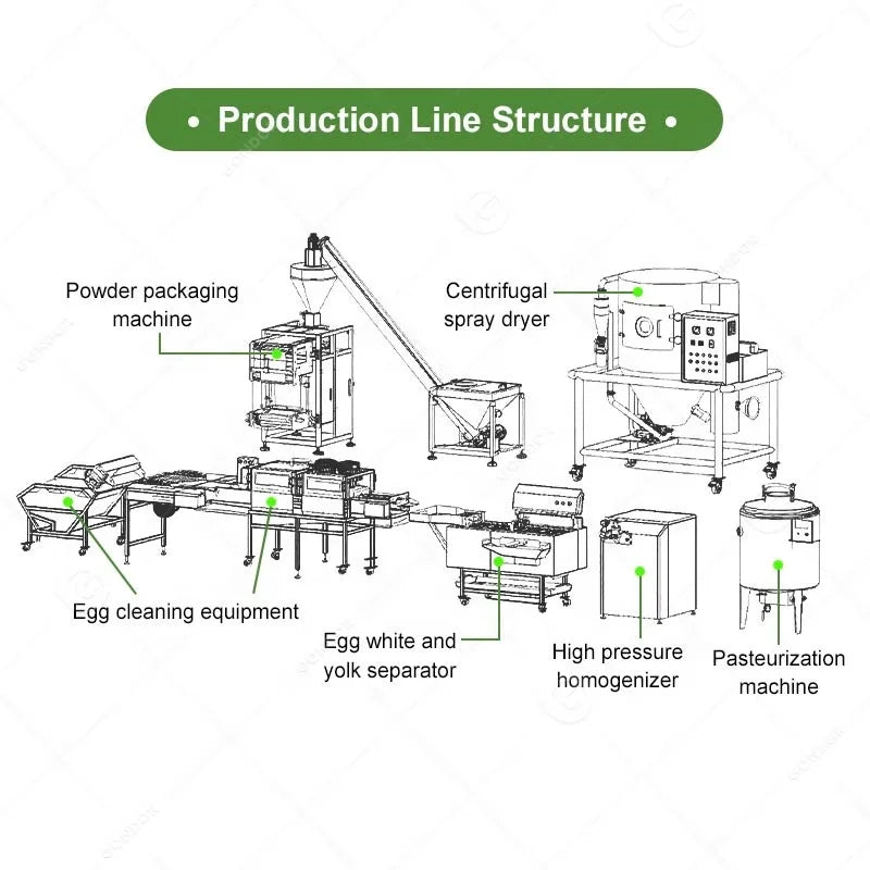 Powdered Egg Dried Powder Dryer Processing Line for Whey Protein Making Manufacturing Machine Customize